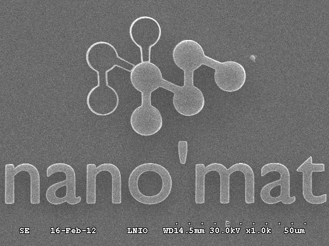 Exemple de réalisation Nanoscribe