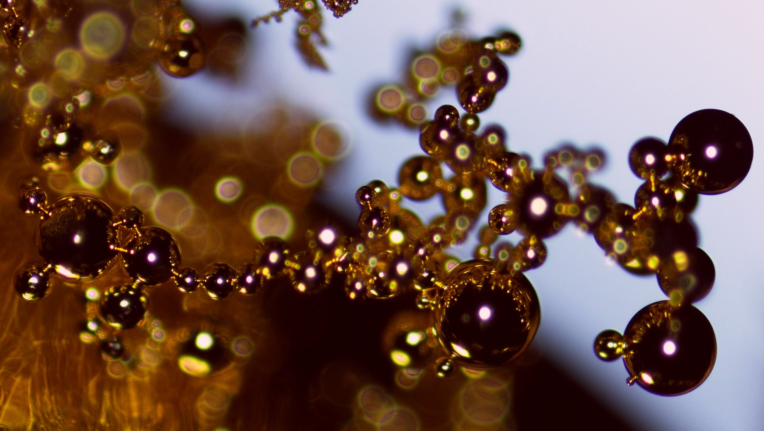 Microscopie optique avancée