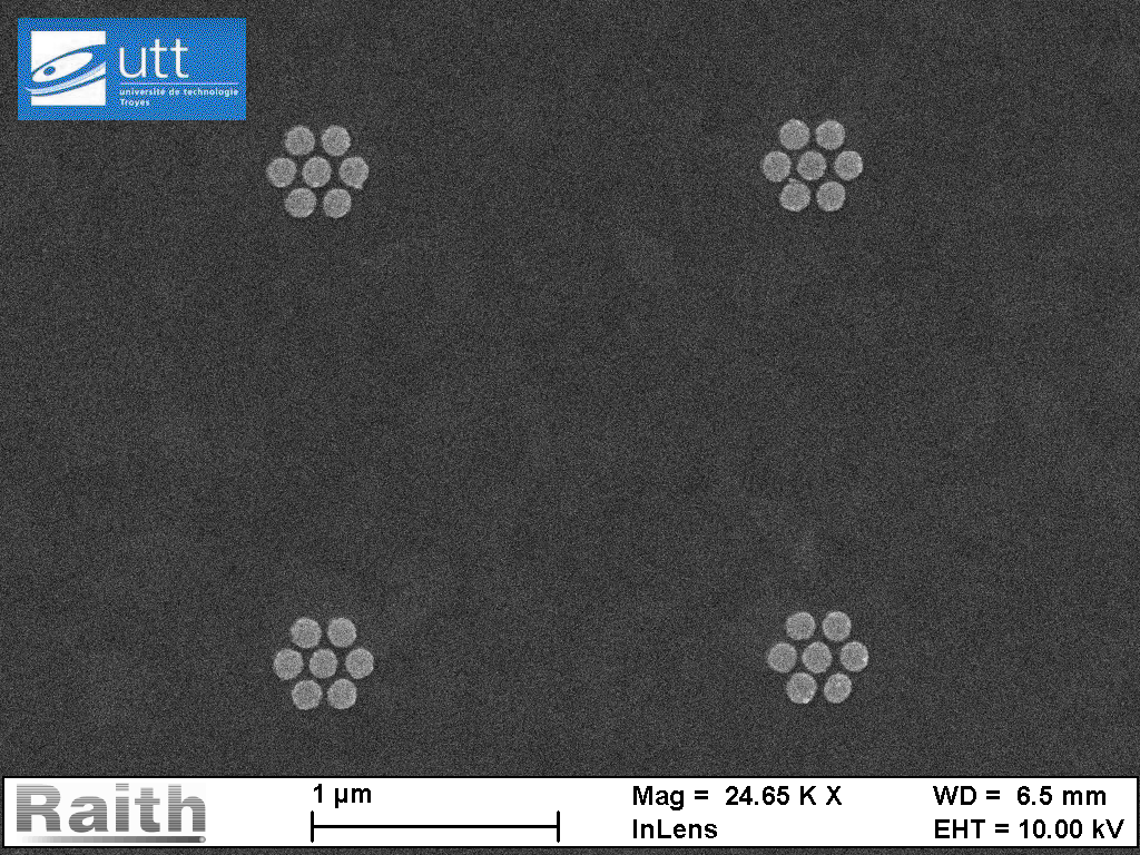 Structure polymère 3D imprimée par polymérisation à deux photons (NanoScribe)